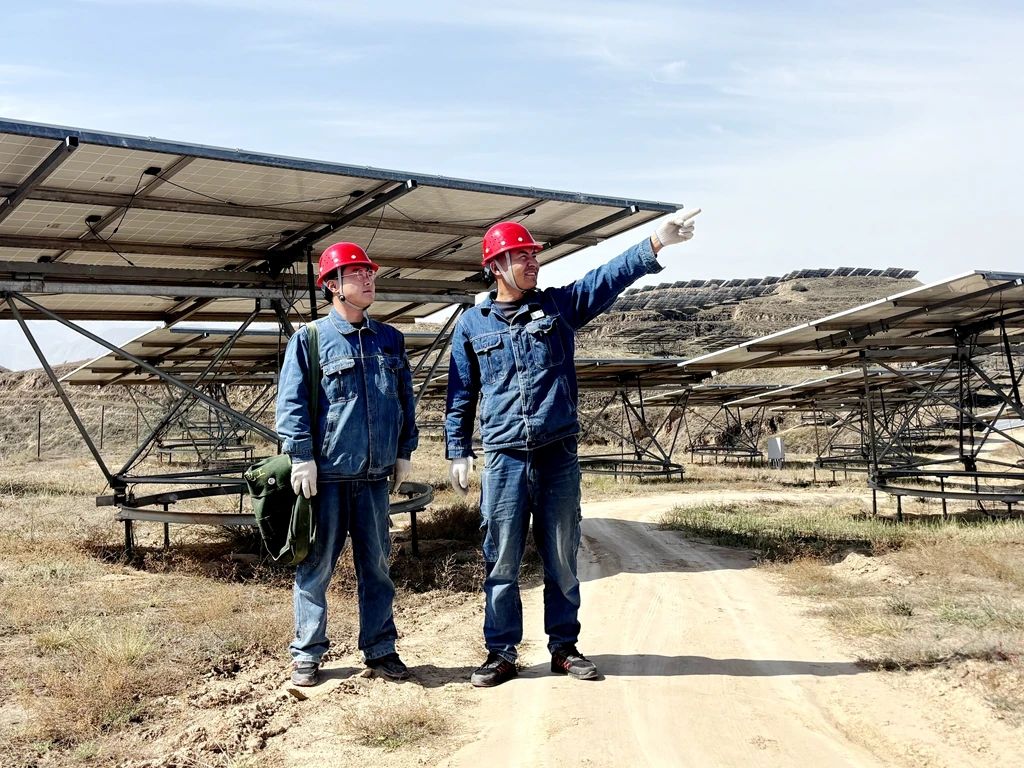 1746759291934234.jpg 8.jpg